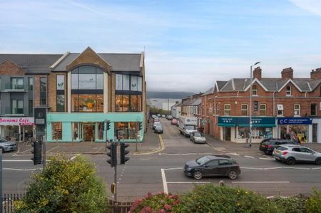 1a Cranmore Park, Belfast, BT9 6JF - Photo 5