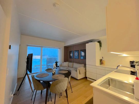 Moderne lejlighed med udsigt over fjorden og park - Photo 1