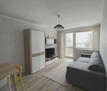 Widok Na Morze Winda Długi Termin Zwierzęta Sopot - Photo 2