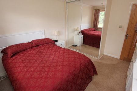 Conifer Avenue, Conifer Park - Photo 2