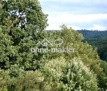 NATURPUR sonnige 3 Zi.-DG-Whg an max. 1-2 Pers. & Nichtraucher zum ... - Foto 4