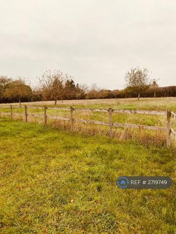 2 bedroom bungalow to rent - Photo 2