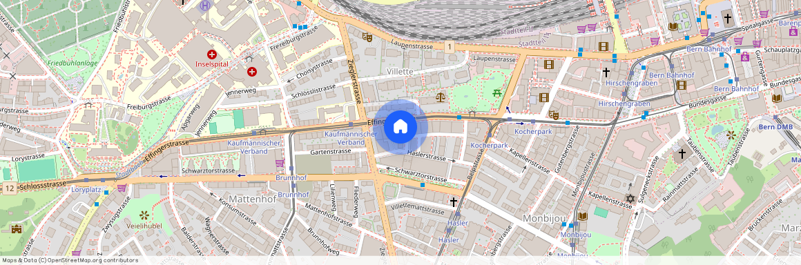 3008, Bern, Effingerstrasse, 41a