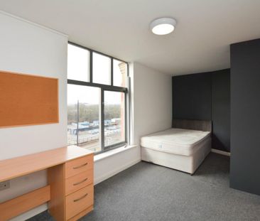 1 bed Room for Rent - Photo 5