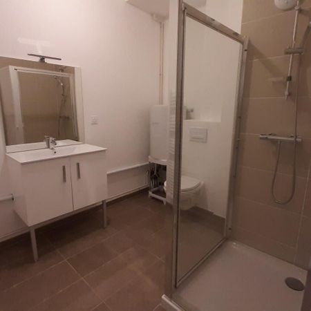 location Appartement T1 DE 31.42m² À NANTES - Photo 3