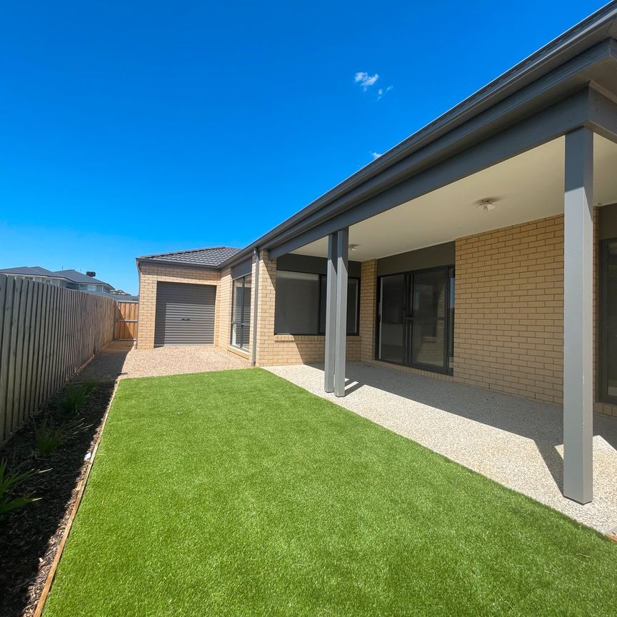 16 Dunoon Avenue, Clifton Springs - Photo 1