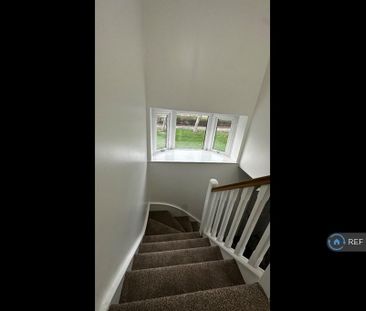 3 bedroom terraced house to rent - Photo 5