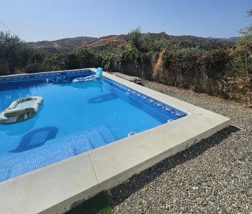 Guaro - Photo 1