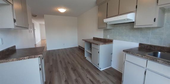 N-Rosemont Près Anjou/St.Léonard 4.5 au 2e Étage Triplex - Photo 2