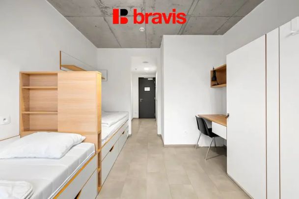 Pronájem kompletně zařízeného 1+kk, Brno - Trnitá, ul.Dornych - Photo 1