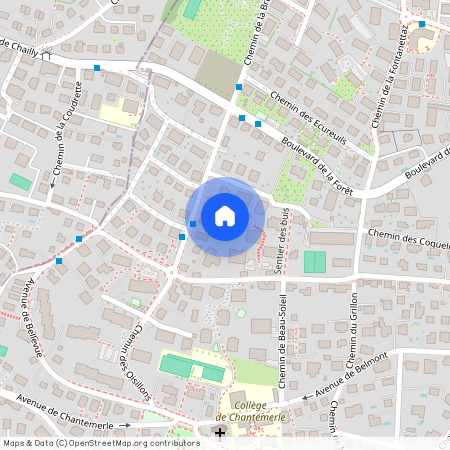 Chemin Des Ramiers 8, 1009 Pully