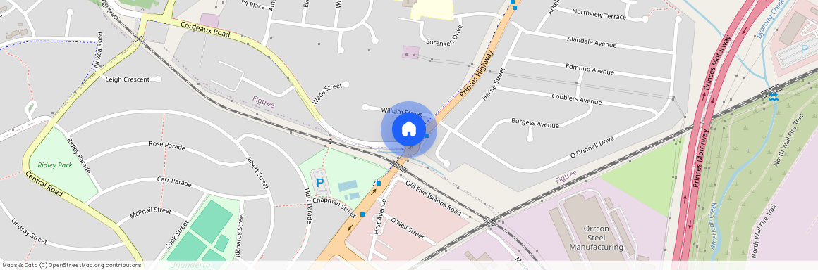 224 Princes Hwy, NSW 2525, Figtree