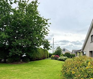 41 Clonmacash Road, Portadown, BT62 1LT - Photo 4
