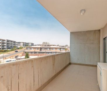 139/41 Philip Hodgins Street, Wright ACT 2611 - Apartment For Rent ... - Photo 2