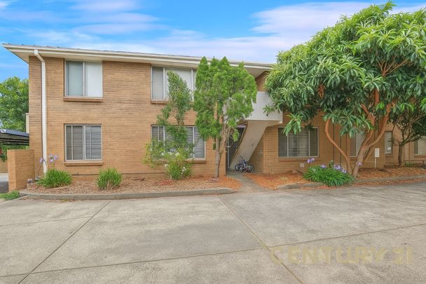 Comfortable Lower-Level 2-Bedroom Apartment in a Central Location - Photo 1