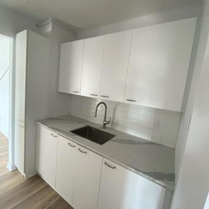 GRAND ET LUMINEUX 4.5 RÉNOVÉ DISPONIBLE 1er AVRIL 2025 - Photo 2