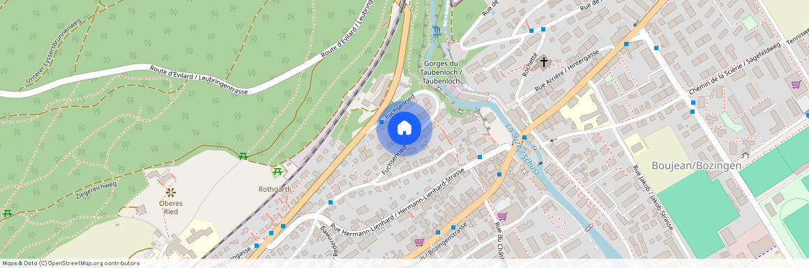 Fuchsenried 17 A, 2504 Biel/Bienne