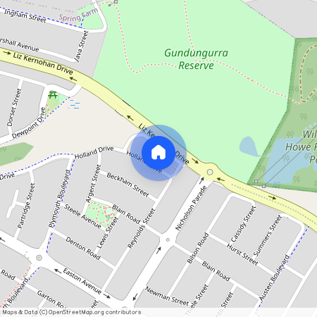 18 Facey Lane, NSW 2570, Spring Farm