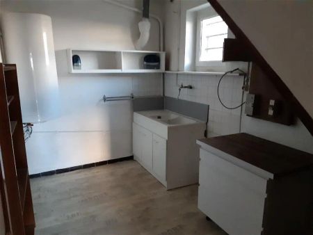 Location appartement 2 pièces - 75m² à Pact (38270) - Photo 4