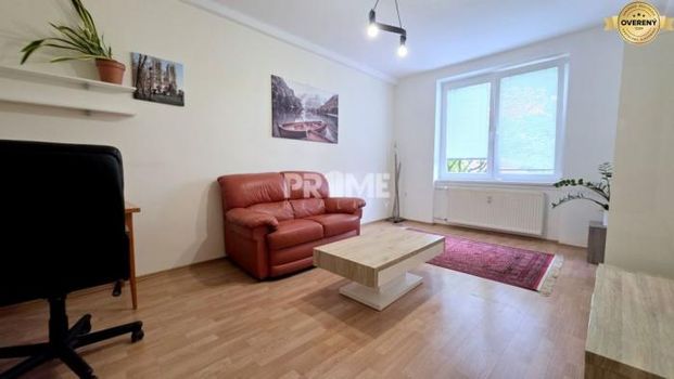 Pekný 2i byt, DOG FRIENDLY, KLÍMA, Budovateľská ulica, NIVY - Photo 1
