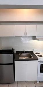 NEAR MCGILL U, GORGEOUS AND RENOVATED 1½ (pateau Mont Royal) - Photo 3