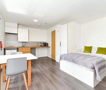 Studio Bronze - Photo 5