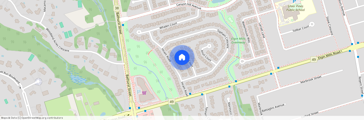 22 Chip Court, Richmond Hill