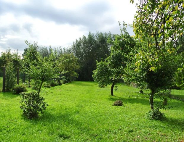 Freistehendes Einfamilienhaus mit großem Garten mit Obstbäumen zu vermieten. - Photo 1