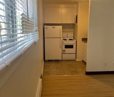 1 BDRM/1 BATH - 409 4TH AVE N - Available NOV 1 - Photo 1