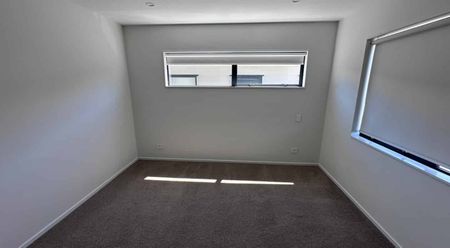 Just In time for Christmas - Photo 5