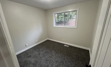 3333 Smugglers Hill Drive - Photo 3