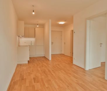Neubau Erstbezug - Ruhige Gartenwohnug mit Zwei Zimmern in Krems - Foto 6