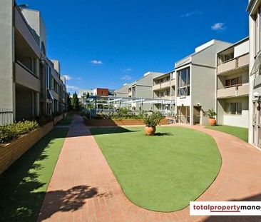 F4/2 Currie Crescent, Griffith ACT 2603 - Apartment For Rent | Domain - Photo 3