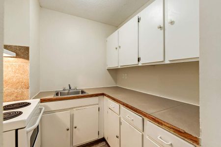 Renovated Suite - 1 Bedroom - Photo 4