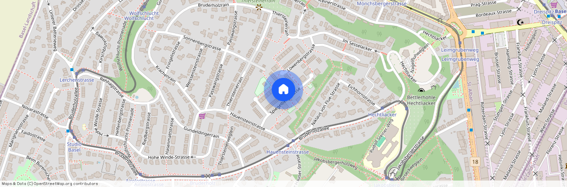 Spiegelbergstrasse 29, 4059, Basel