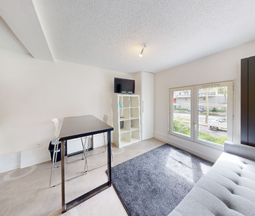 Location Appartement 1 pièce 18m² ST ETIENNE 42000 - Photo 3