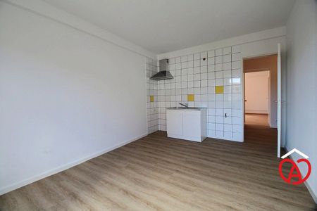 Location Appartement 1 pièce 42m² BARR 67140 - Photo 2
