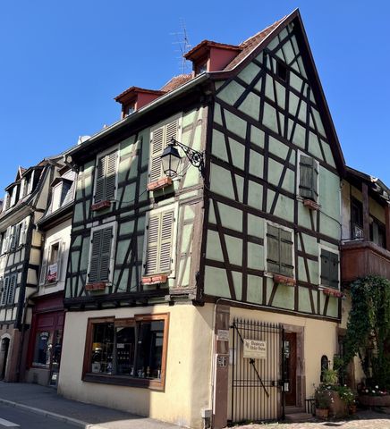 location Appartement 1 pièce à Colmar - REF 6555 - Photo 5