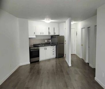 Studio Apartment For Rent - Photo 2