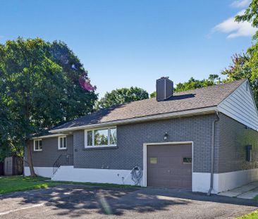 For Lease - 41 Donna Street Unit# B, Meadowlands - Crestview and Ar... - Photo 1