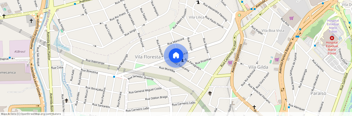 Rua Andaraí, 599 - Vila Floresta, Santo André - SP