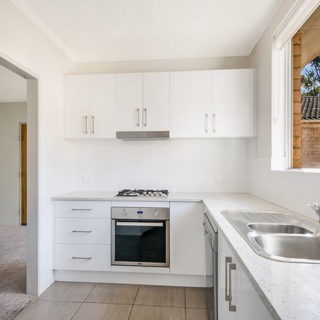 31/33 Stokes Street, Lane Cove NSW 2066 - Apartment For Rent | Domain - Photo 4