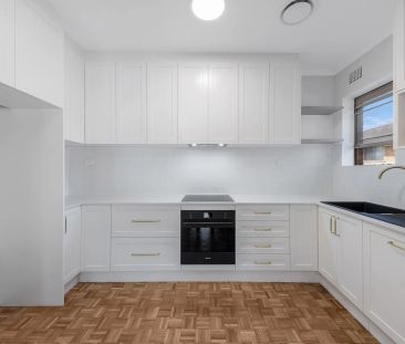 FULLY RENOVATED, TWO BEDROOM APARTMENT! - Photo 1