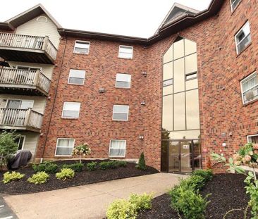 137, 145 & 149 Walker Ave — 1 Bedroom - Photo 5