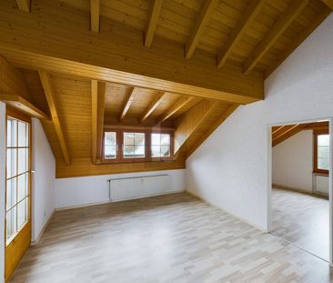 ATEMBERAUBENDER BLICK AUFS APPENZELLERLAND - Photo 2