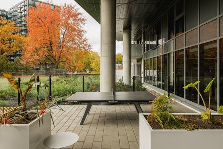 100 Rue Murray, #808 - Photo 2