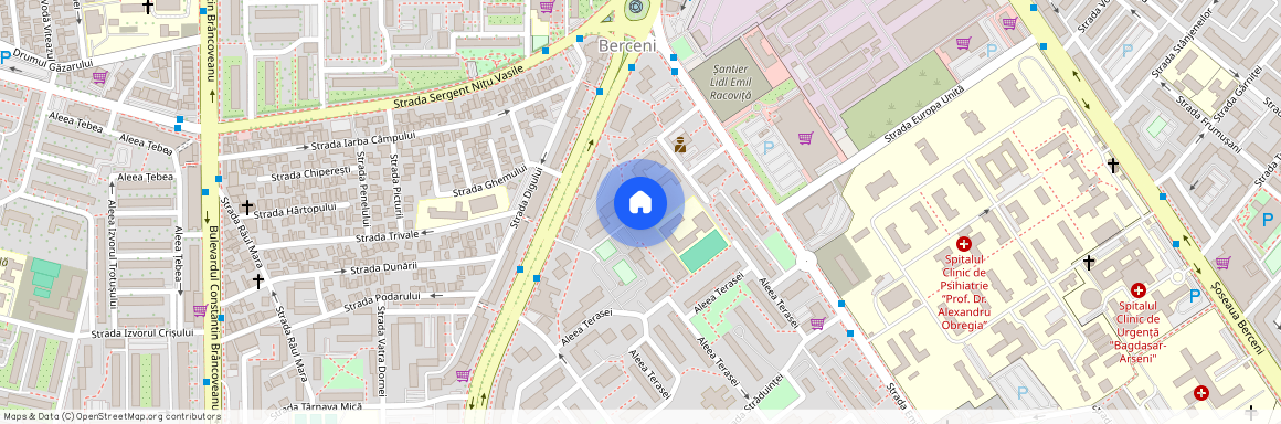 Piata Sudului, Bucuresti