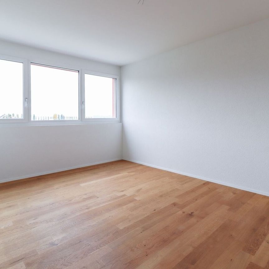 Attika-Wohnung mit sonniger Dachterrasse - Foto 1