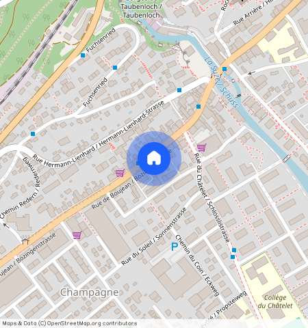 Bözingenstr, 140, 2504 Biel-Bienne