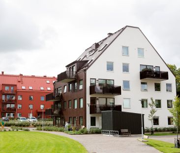 Oskarsgatan 19, Kneippen - Foto 2